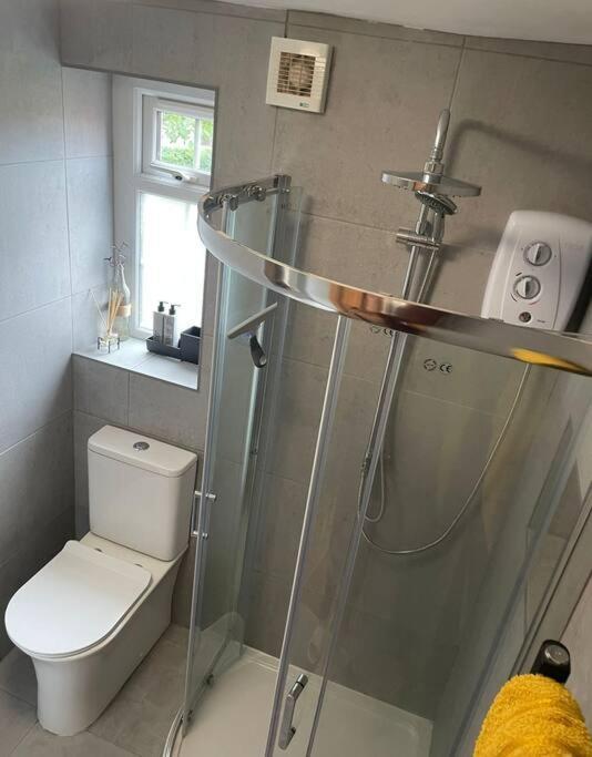 Netherton Studio Apartment 2 Rhôs-on-Sea Exterior foto